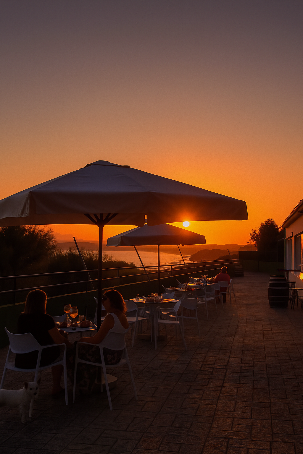 Bar restaurante La Molona en Camping MOLA! con terraza chill y comida casera
